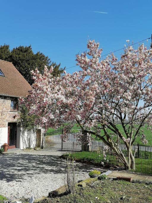 Gite Rural La Ferme Du Semeur-Zaaiershof Lessines Extérieur photo